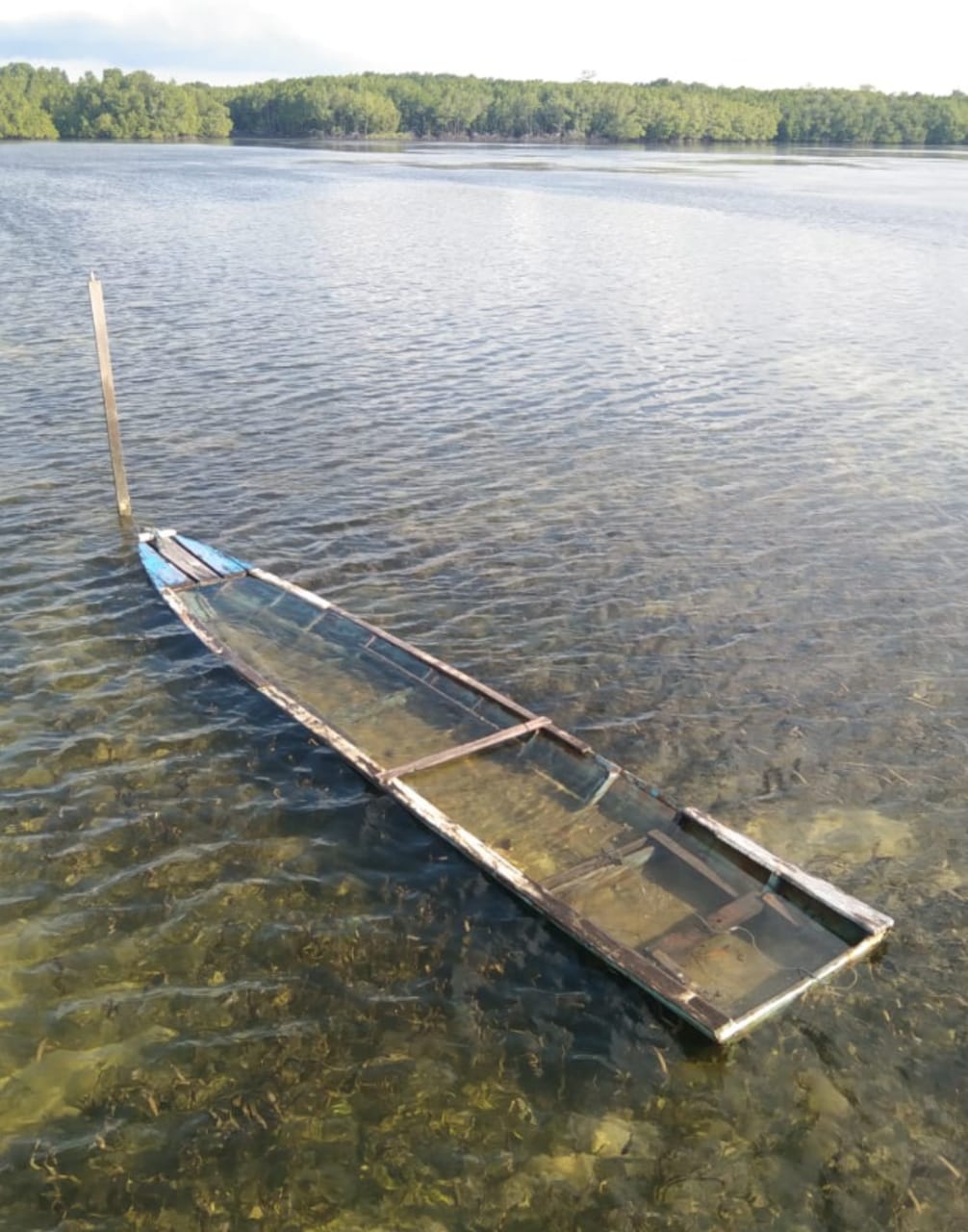 Bertaruh Nyawa Demi Mengajar; Kisah Para Guru di Pulau Selangan Bontang, Kapal Sudah 2 Kali Karam, Sering Libur karena Cuaca Buruk